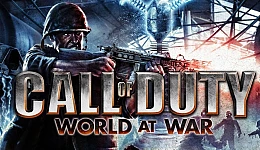 Call of Duty: World at War